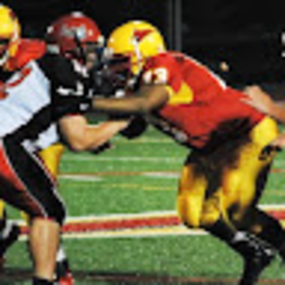 Meet your Posher, Marcellus - Picture 1 of 1